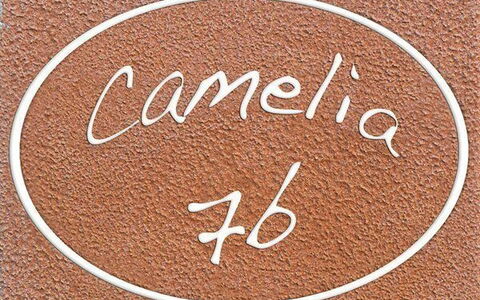 Accommodation:&nbsp;Camelia