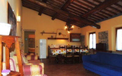 Accommodation:&nbsp;Camelia