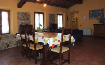 Accommodation:&nbsp;Camelia