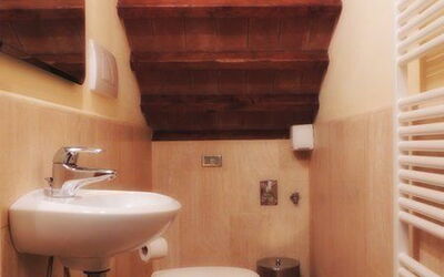 Accommodation:&nbsp;Dalia