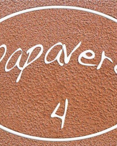 Papavero