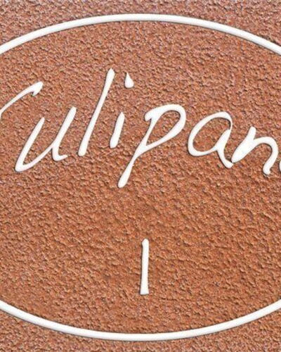 Tulipano