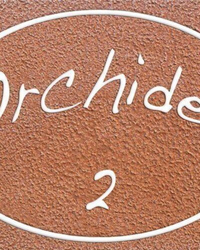 Orchidea