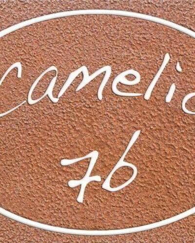 Camelia