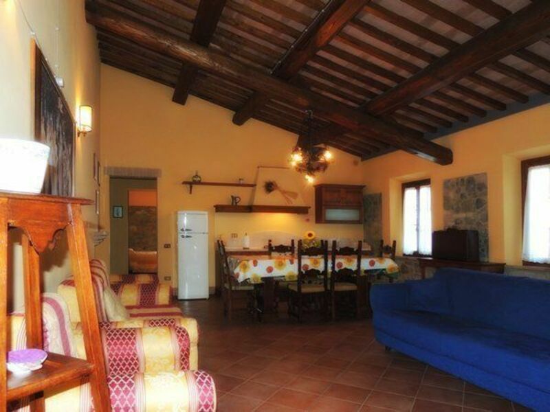 Accommodation:&nbsp;Camelia
