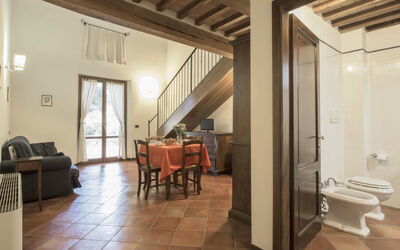 Accommodation:&nbsp;Montecorneo 250.1