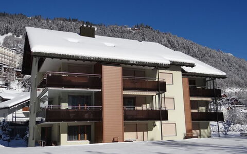 Engelberg 787: Winter, Snow, Freezing, Glacial Landform, Mountain Village, Balcony, Daylighting, Alps