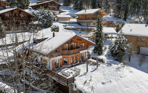 Chalet Petit Pont: Tree, House, Home, Cottage, Roof, Snow, Winter, Hill Station, Larch, Village