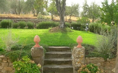 The garden
