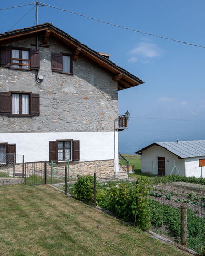 Vetan