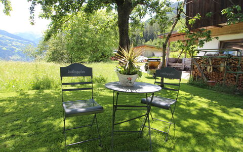 Aschau im Zillertal 320: Plant, Property, Furniture, Tree, Botany, Outdoor Furniture, Shade, Outdoor Table, Natural Landscape, Table