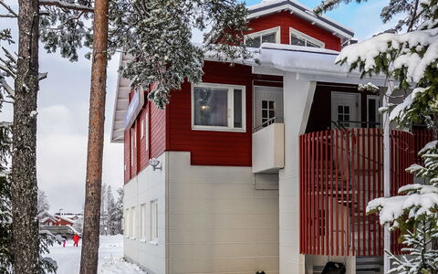 Moonlight 201: Wood, Snow, Winter, Cottage, Freezing, Home, Log Cabin, Larch, Siding