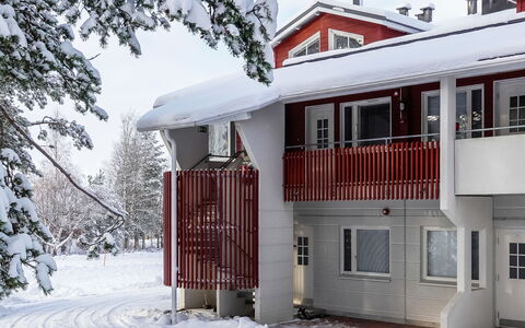Moonlight 201: Wood, Snow, Winter, Cottage, Freezing, Home, Log Cabin, Larch, Siding