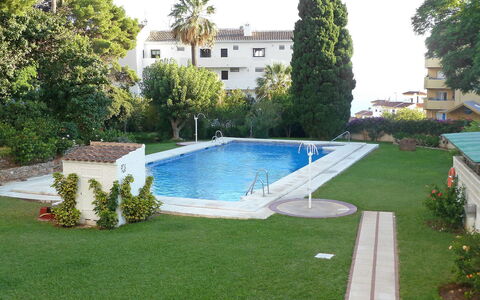 San Francisco: Swimming Pool, Property, Grass, Backyard, Yard, Lawn, Real Estate, Landscaping, Building, Residential Area