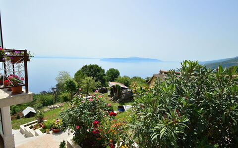 Josip: Vegetation, Property, Vacation, Botany, Tourism, Tree, Real Estate, Sky, Sea, Resort
