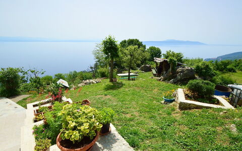 Josip: Vegetation, Property, Real Estate, Plant Community, Land Lot, Plant, Grass, Tree, Rural Area, Garden
