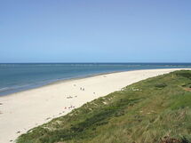 Blåvand