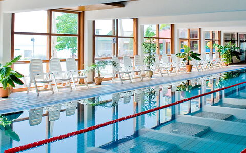 Tihany 500: Water, Property, Window, Plumbing Fixture, Plant, Flowerpot, Tap, Swimming Pool, Houseplant, Interior Design