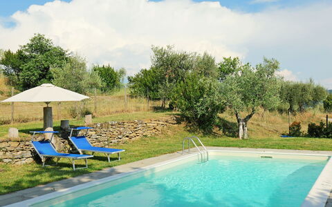 Cortona Sunshine: Swimming Pool, Property, Sky, Leisure, Backyard, Real Estate, Vacation, House, Grass, Home