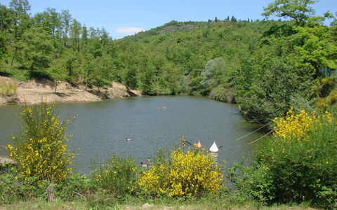 Civitella: Body Of Water, Water Resources, Natural Landscape, Nature, Vegetation, Nature Reserve, Water, Bank, Lake, Natural Environment