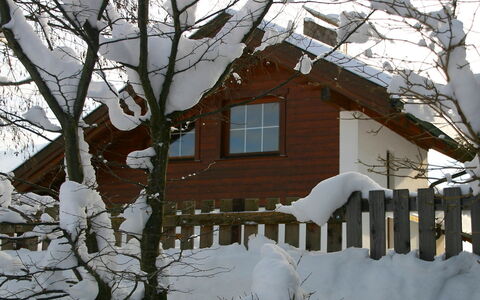 Seekarblick: Building, Snow, Window, House, World, Plant, Twig, Tree, Wood, Biome