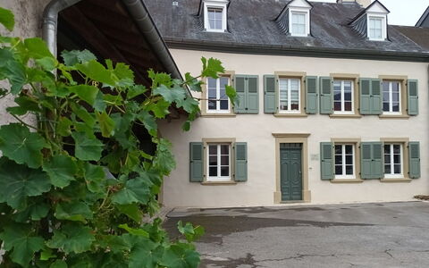 Greiweldenger Leit As: Plant, Window, Building, House, Sky, Neighbourhood, Real Estate, Cottage, Door