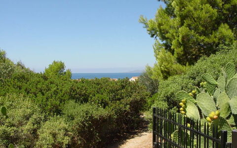 Casa Dei Lentischi: Leaf, Green, Vegetation, Shrub, Plant Community, Sea, Ocean, Garden, Shrubland, Evergreen