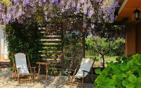 Marina: Patio, Property, Tree, Plant, Real Estate, Garden, Botany, Spring, Courtyard, Flower