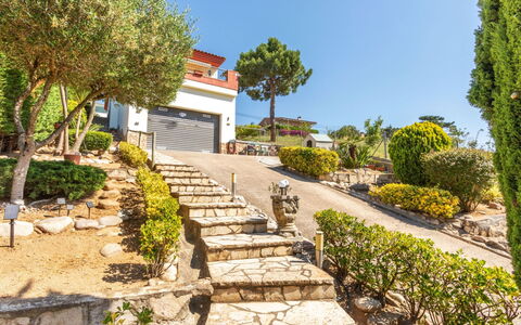 Figaro: Shrub, Garden, Landscaping, Walkway, Driveway, Estate, Flagstone, Shade, Yard