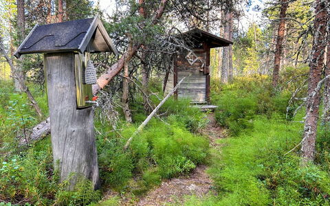 Nanguvilla: Wood, Cottage, Log Cabin, Forest, Shed, Garden Buildings, Larch, Woodland, Wood Stain