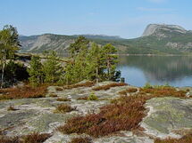 Vrådal