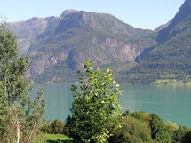 Høyheimsvik