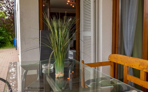 Langes Leben al Khalid: Plant, Property, Flowerpot, Wood, Houseplant, Interior Design, Window, Curtain, Chair