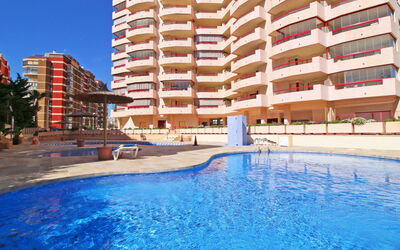 Accommodation:&nbsp;Amatista 09 867.9