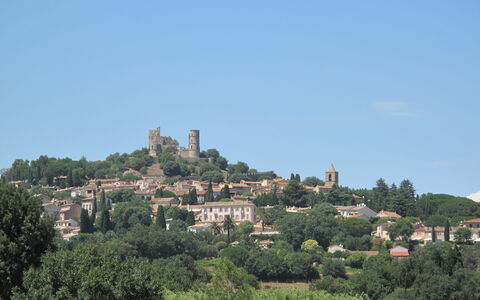 Grimaud 131: Tree, Vegetation, Human Settlement, Village, Suburb, Mountain Village, Skyline