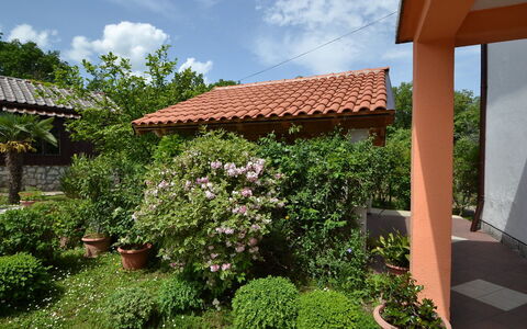 Franjo: Property, Real Estate, Garden, House, Yard, Botany, Roof, Plant, Backyard, Building