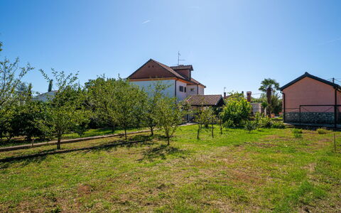 Franjo: Sky, House, Rural Area, Plain, Home, Land Lot, Roof, Cottage, Field, Farmhouse