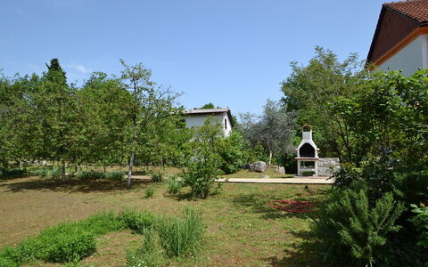 Opatija Ika 106: Plant, Sky, Natural Landscape, Tree, Land Lot, Grass, Landscape, Cottage, Shrub, Window