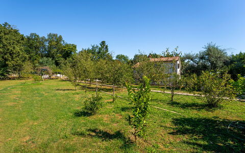 Opatija Ika 106: Tree, Natural Environment, Vegetation, Shrub, Plain, Grassland, Rural Area, Land Lot, Garden