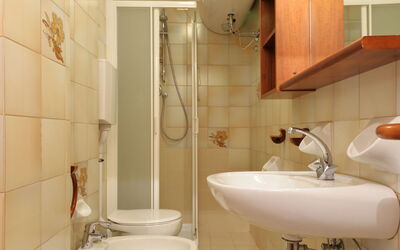 Accommodation:&nbsp;Des Alpes 270.8