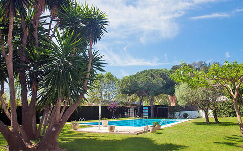 Edificio Blanqueries: Cloud, Sky, Water, Plant, Property, Tree, Azure, Swimming Pool, Body Of Water, Shade