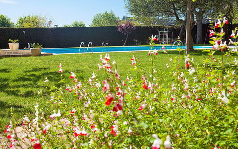 Edificio Blanqueries: Flower, Plant, Sky, Tree, Natural Landscape, Petal, Grass, Shrub, Cloud