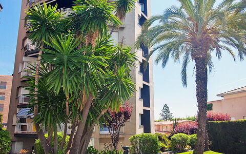 Edificio Blanqueries: Plant, Building, Sky, Daytime, Property, Green, Window, Nature, Botany, Leaf