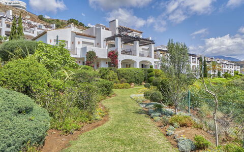 Altos de la Quinta: Plant, Cloud, Sky, Property, Plant Community, Building, Nature, Natural Landscape, Land Lot, Vegetation