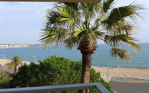 Fréjus 110: Tree, Palm Tree, Arecales, Property, Woody Plant, Plant, Vacation, Date Palm, House, Sea