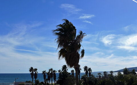 Cap Hermes: Sky, Tree, Palm Tree, Cloud, Daytime, Arecales, Woody Plant, Sea, Plant, Ocean