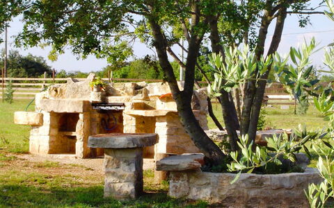 Novi: Tree, Grass, House, Plant, Rural Area, Wood, Table, Building, Furniture, Tourism