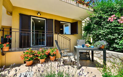Opatija Pobri 112: Flower, Plant, Building, Property, Flowerpot, Houseplant, Window, Botany, House, Shade