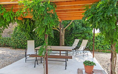 Cinigiano 100: Property, Backyard, Furniture, Yard, Garden, Patio, Botany, Plant, Tree, Courtyard
