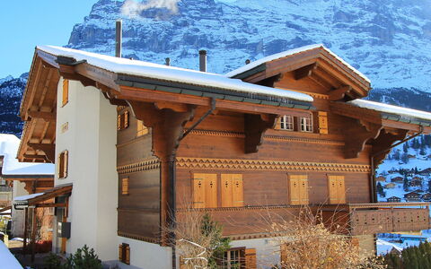 Chalet Cortina: Plant, Sky, Building, Mountain, Snow, Window, Blue, Wood, Tree, House